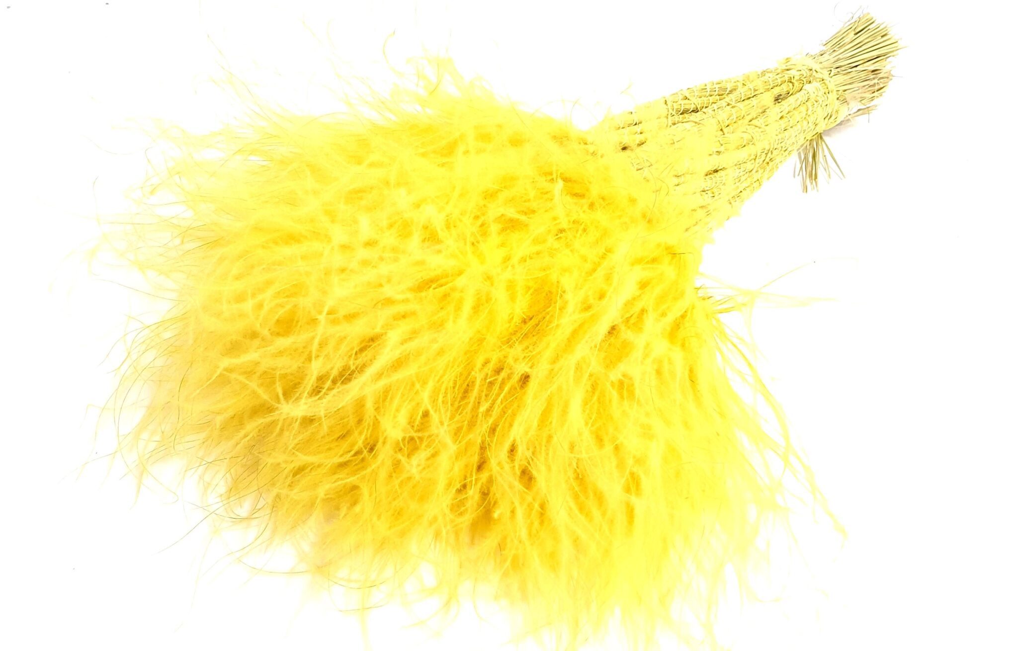 Stypha penata Pastel yellow